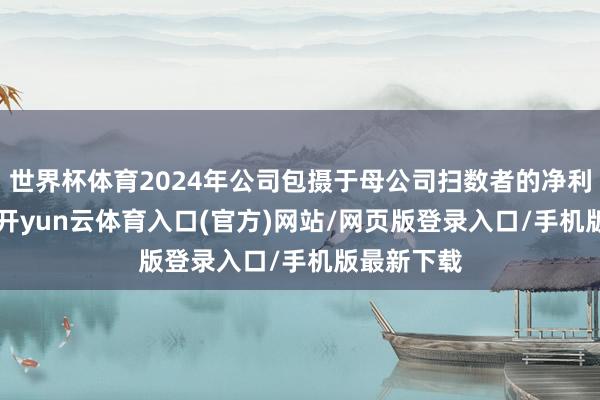 世界杯体育2024年公司包摄于母公司扫数者的净利润为-13-开yun云体育入口(官方)网站/网页版登录入口/手机版最新下载