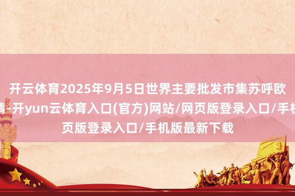 开云体育2025年9月5日世界主要批发市集苏呼欧拉羊价钱行情-开yun云体育入口(官方)网站/网页版登录入口/手机版最新下载