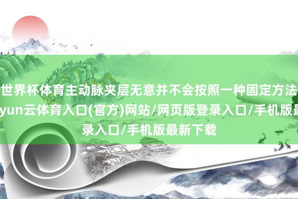 世界杯体育主动脉夹层无意并不会按照一种固定方法出现-开yun云体育入口(官方)网站/网页版登录入口/手机版最新下载