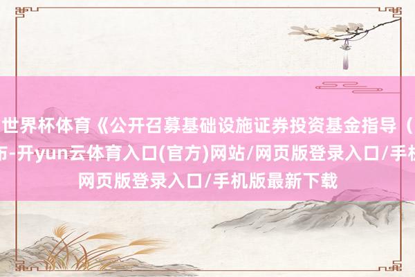 世界杯体育《公开召募基础设施证券投资基金指导（试行）》发布-开yun云体育入口(官方)网站/网页版登录入口/手机版最新下载
