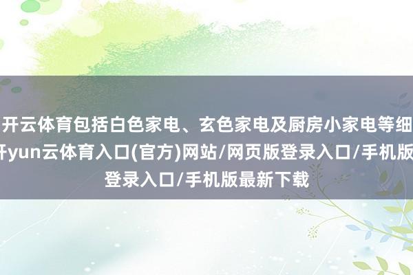 开云体育包括白色家电、玄色家电及厨房小家电等细分限制-开yun云体育入口(官方)网站/网页版登录入口/手机版最新下载